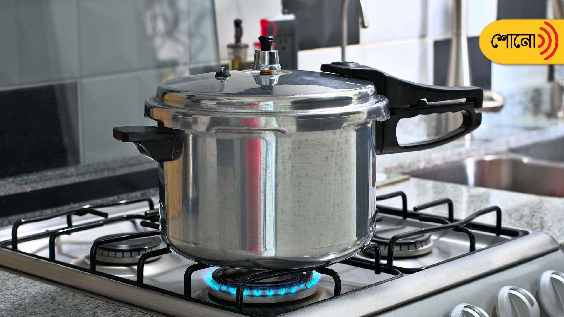 try to avoid these things to cook in a pressure cooker