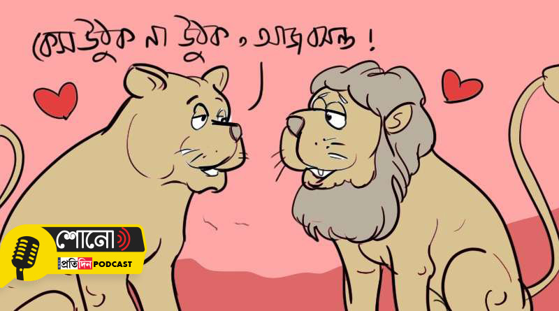 Lions 'Akbar' and 'Sita' can't stay together! VHP moves to court