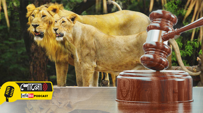 lion name debate: law is being careful regarding the nomenclature of pets