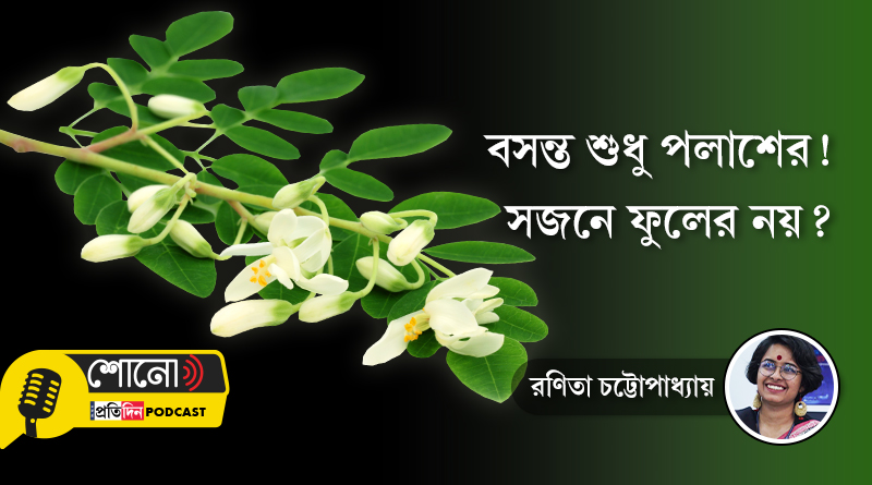 Moringa Flowers: 'Sojne phool' is integral part of Bengal Spring