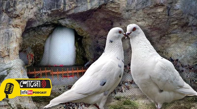 know more about the pigeons of Amarnath Cave and significance of the pilgrimage