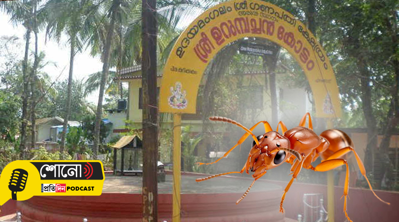 Know more about the temple where devotees worship ants