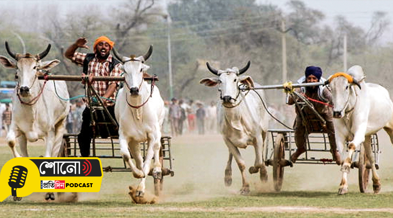 Know more about India’s rural Olympics and its events