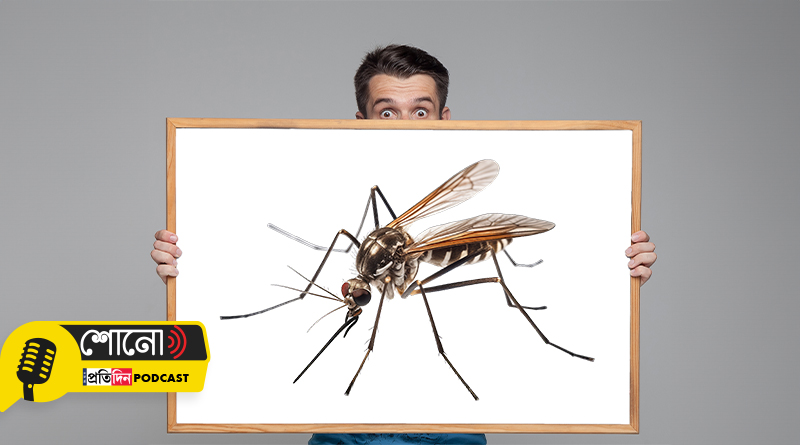 Know more about the reason of Suffering From Frequent Mosquito Bites