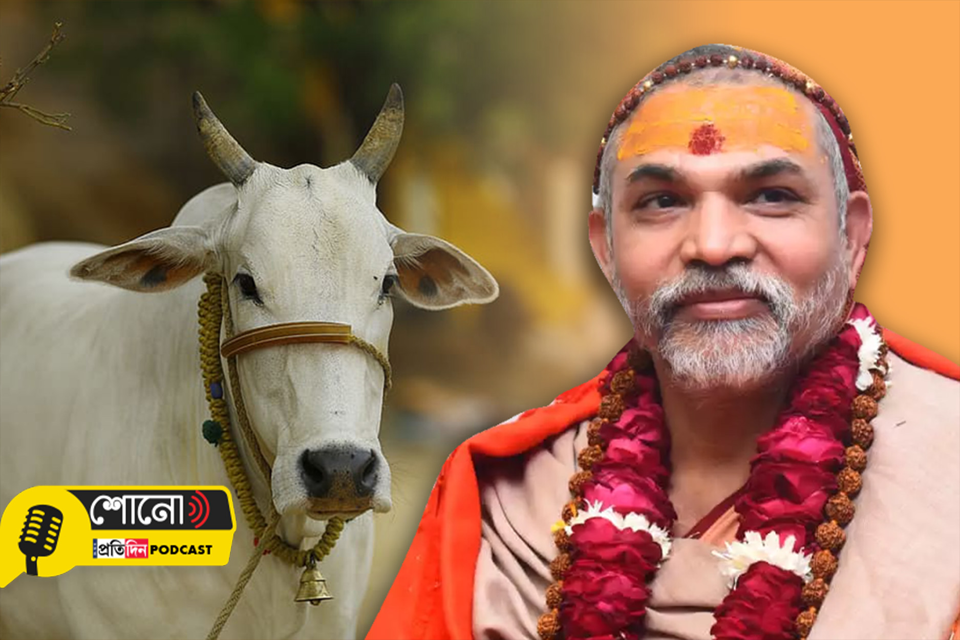 cows must be consider as Mother of the Nation, says Shankaracharya