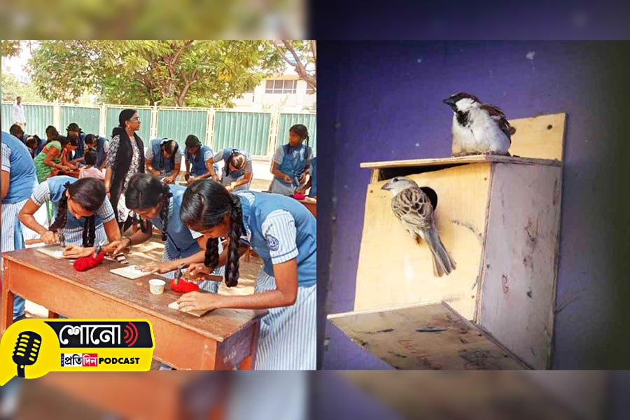 How Koodugal Nest Is Turning Chennai’s Schools Into Havens for Sparrows