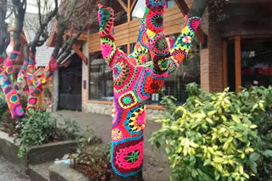 South Korea makes colorful sweaters for trees in winter