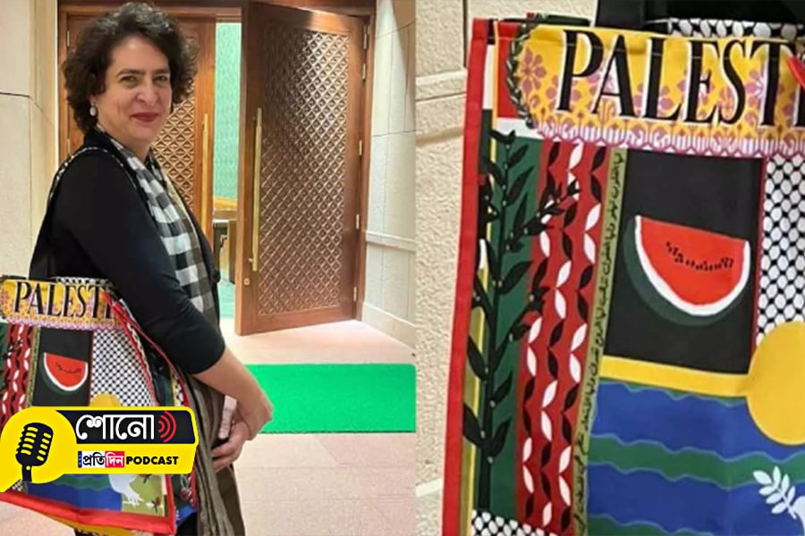 Priyanka Gandhi Sports 'Palestine' Bag In Parliament