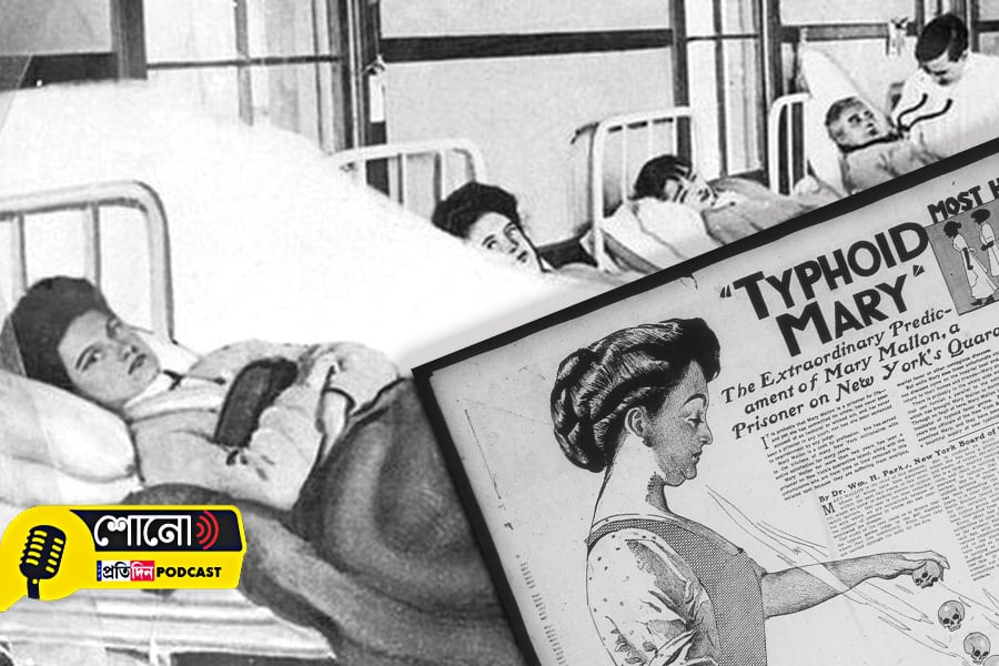 know more about typhoid merry, became a silent killer spreaded typhoid