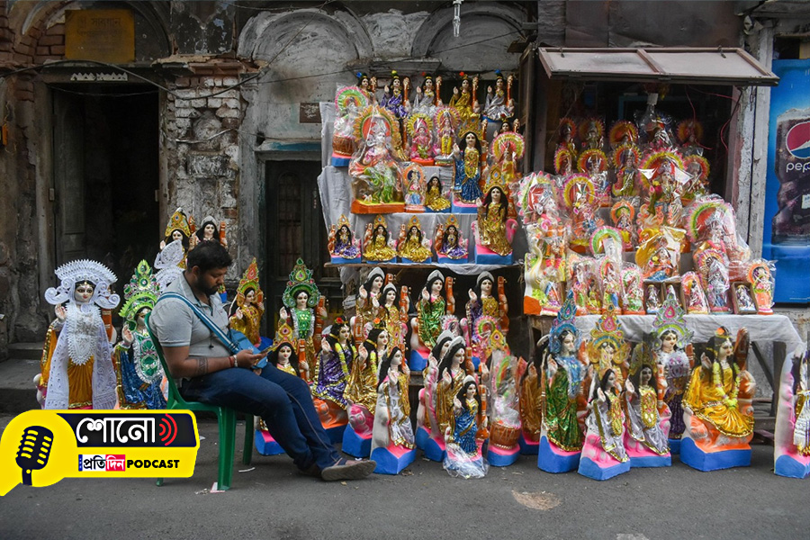 what are the basic feature of Saraswati Idol for puja in home