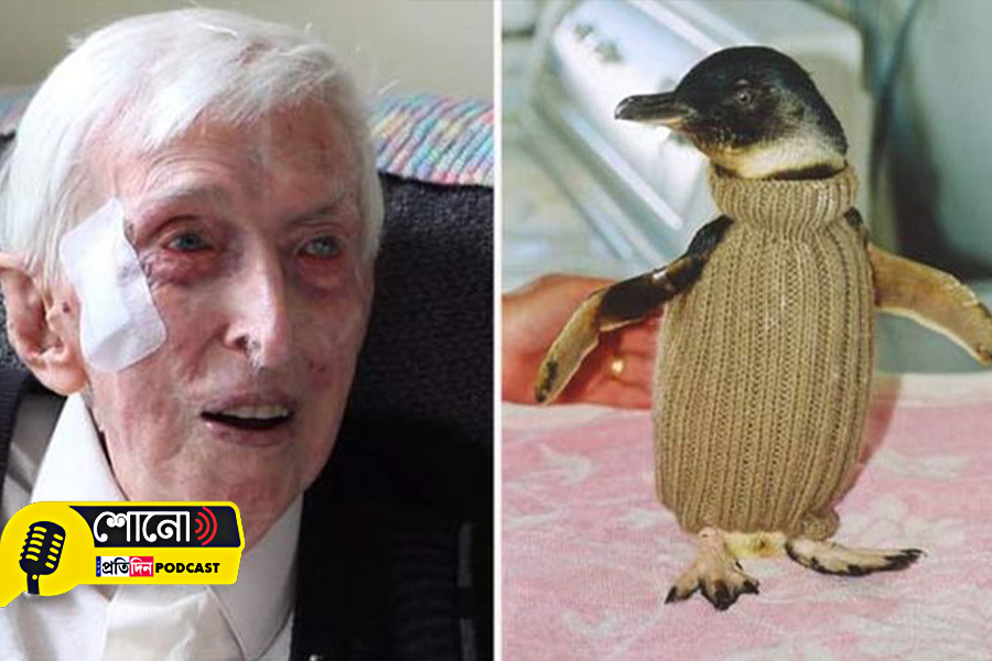 Know more about a 110-year-old man knitted sweaters for penguins