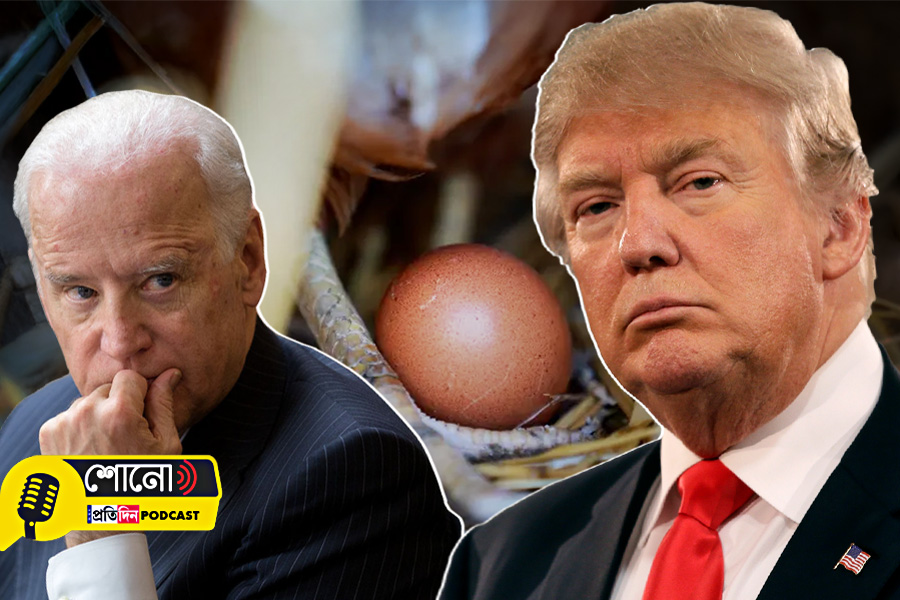 US egg shortage Biden’s fault, claims Trump spokesperson